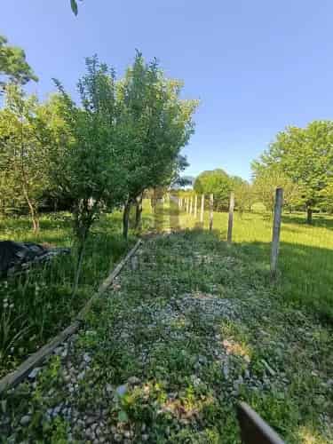 Balatonkeresztúri zártkerti telek eladó - gyümölcsfákkal, kilátással