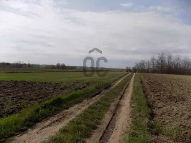 Nagykőrösi befektetői telek eladó 11840 m2