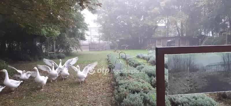 Telek Kiadó , Kiskőrösi járás, Alföld és Észak