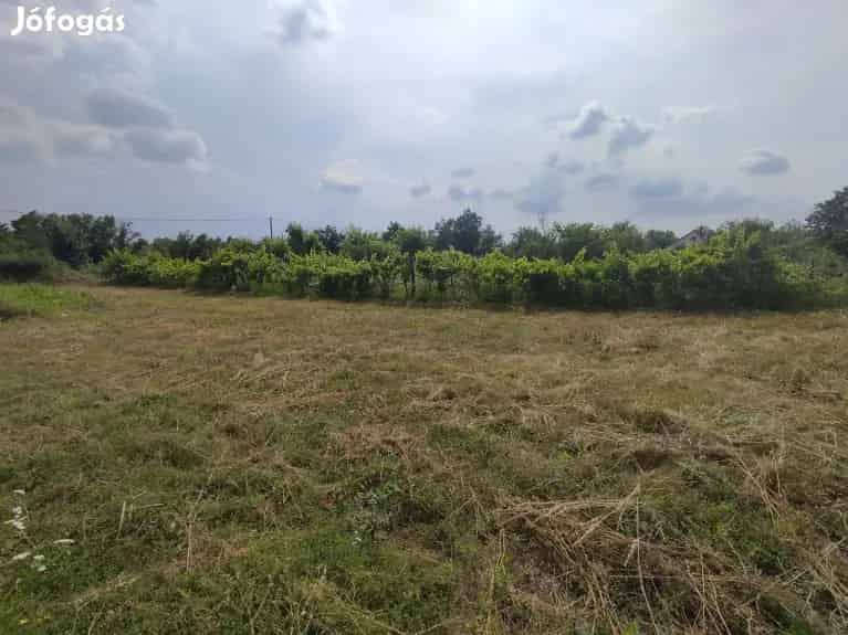 Zámoly Szőlőhegy 3750m2 Telek Elado Eros Arammal