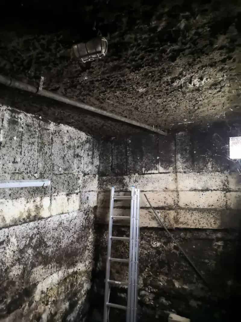 54m2-es ház 1260m2-es telken Ajka Veszprém környékén