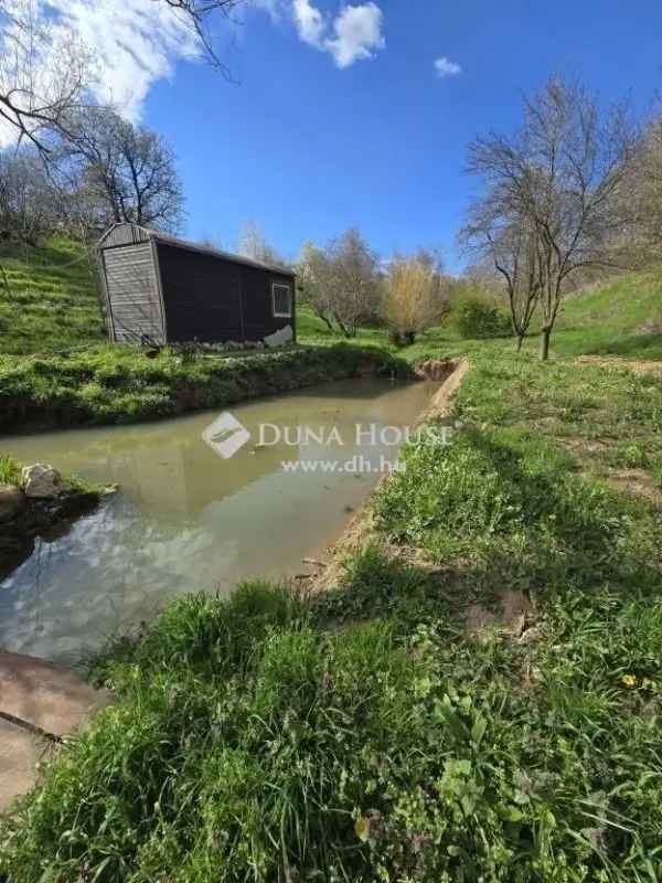 3 Hektáros Zártkerti Farm Eladó Hosszúhetényben