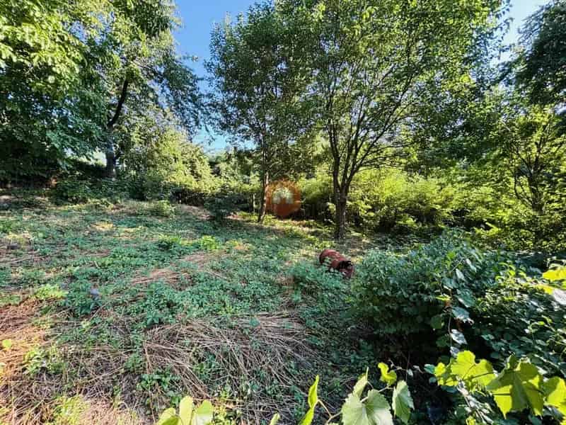 Újhegyi Telek Eladó 1192 m² Befektetésre Családi Ház Építésére