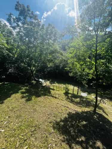 Mecsekoldali telek eladó 2448nm panorámás szarvasgomba
