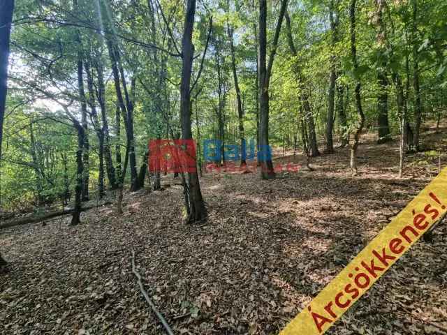 Eladó telek Kismaroson 1404 m2 Börzsöny