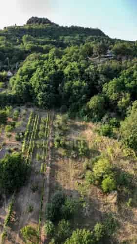Zalahalápi eladó nyaraló telekkel panorámával