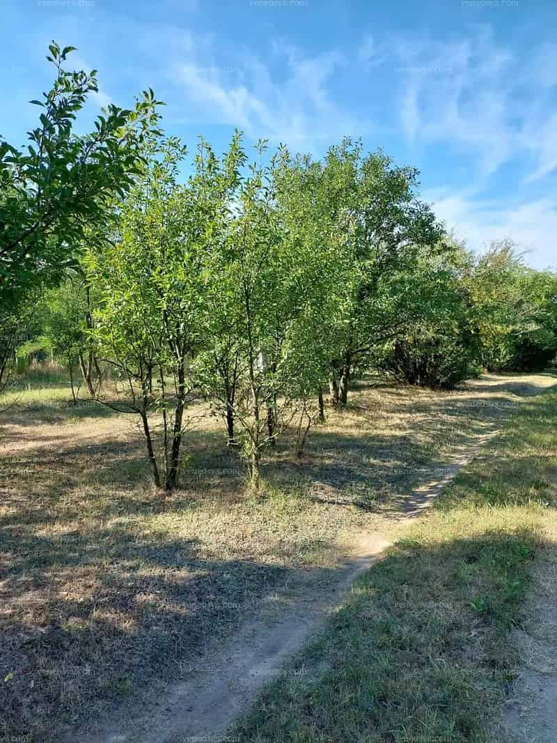 Szomód 2500 m2 Zártkert Eladó 20 Beépíthetőséggel