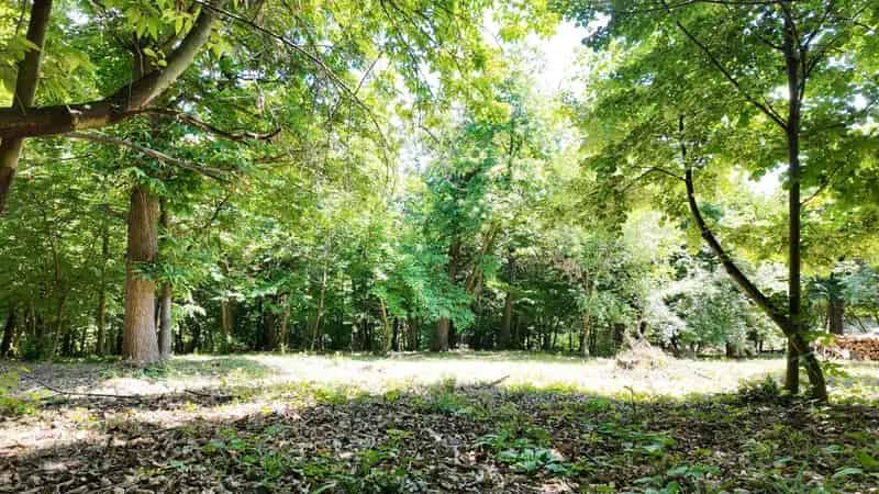 7850 m2-es Telek Turisztikai Vállalkozáshoz vagy Lakhatáshoz