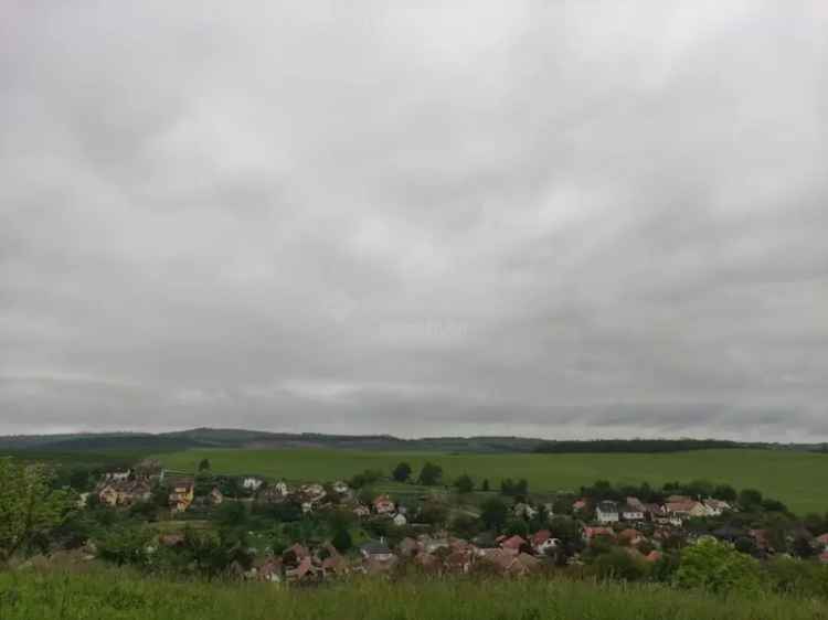 Panoramas Leanyvari dupla telek elado