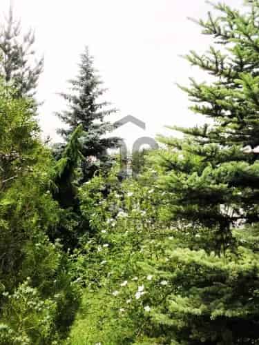 Pátyi panorámás telek eladó 1514 nm