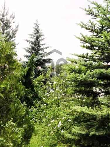 Pátyi eladó telek panorámával és gazdasági építési lehetőséggel