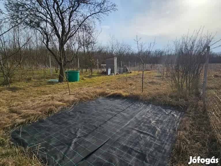 Eladó faház Kókán 743 nm-es telken