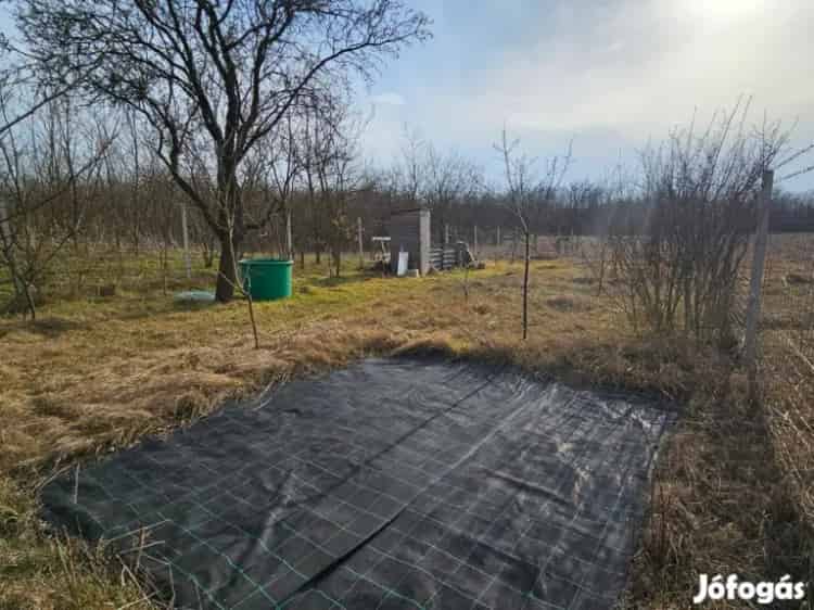 Eladó faház Kókán 743 nm-es telken