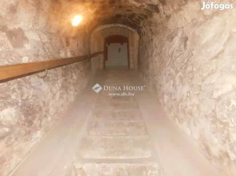 Tokaji Pincészet Elado 300 nm Ház Vendéglátással