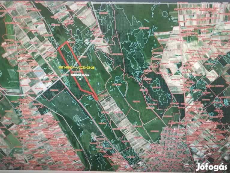 97 5 Ha Legelo Ret Elado Akaszto Kiskoros Hataran