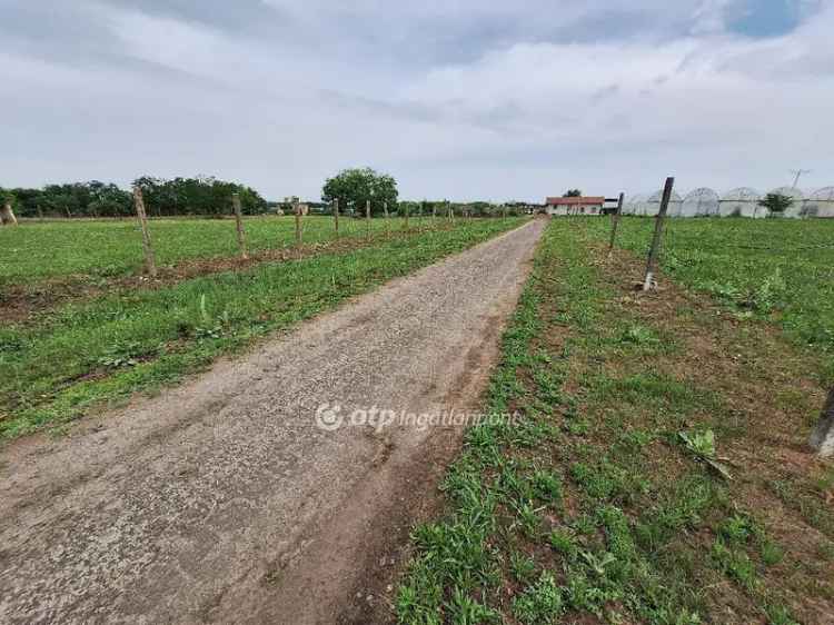 Eladó építési telek Tiszakécske Kerekdombon