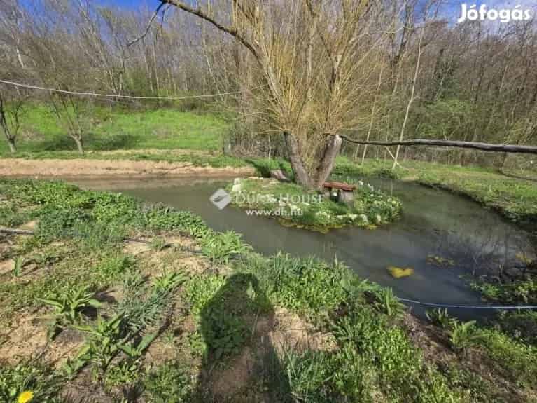 3 Hektáros Zártkerti Farm Eladó