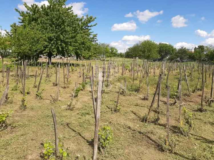 Telek Kiadó in Székesfehérvári járás, Dunántúl