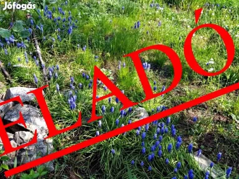 Debreceni tanya eladó 4 3 Ha 30 beépíthetőséggel