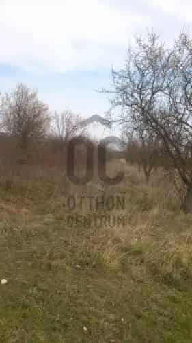 Balatonalmádi eladó szántóföld 431 m2 - Befektetés