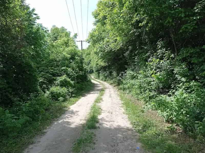 Zalaistvánd Telek Eladó 2972 m2 Erdős Sík Területtel