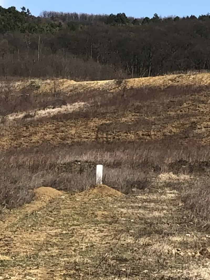 1500 nm-es Telek Eladó Solymár Határában