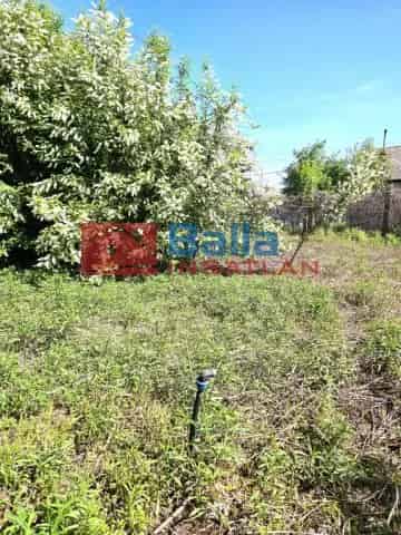 Ráckeve , Köztársaság köz