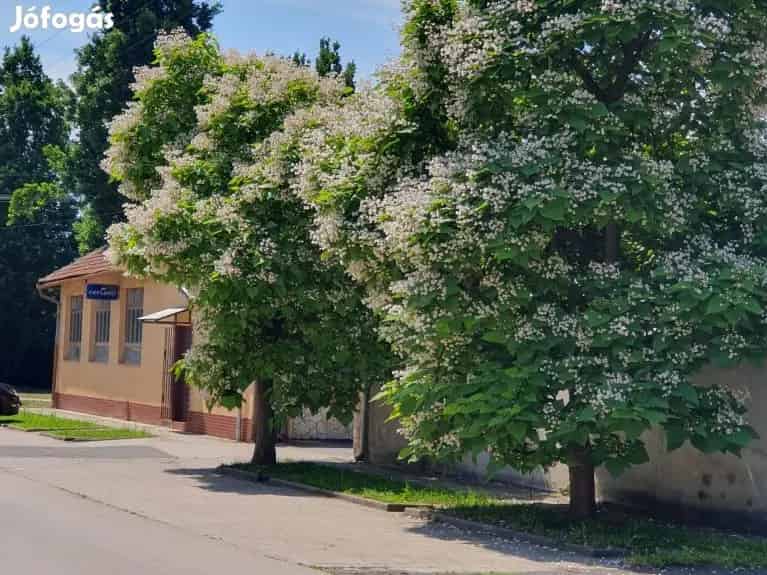 Ipari ingatlan Eladó vagy Kiadó ! - Békés, Iroda, üzlethelyiség, ipari ingatlan - Jófogás Ingatlan
